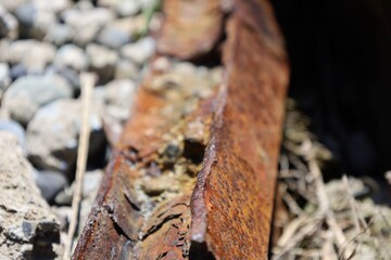 rusted Iron at the Beach