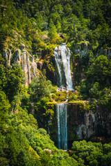 Sierra madre de Durango Mexico