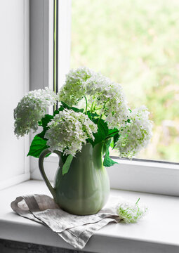 Bouquet of white hydrangeas in a vintage ceramic jug on the windowsill. Home interior decor