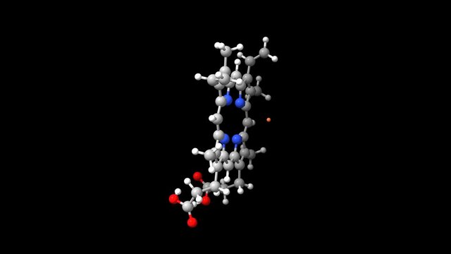 Animated 3D ball-and-stick and spacefill models of heme B, the most abundant heme