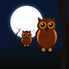Cute two owls on the tree moon light night