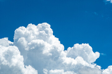 Naklejka na ściany i meble Cumulus Clouds & Sky