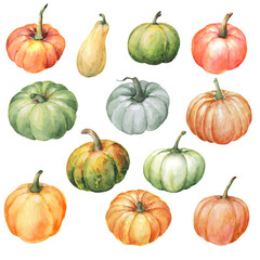 Set of watercolor pumpkins isolated on white. Autumn harvest. Hand painted.