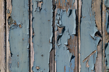 Farben Holz Brett bunt Oberfläche Struktur Vintage alt abgeblättert Verfall Lost place Fahrzeug verwittert Lack Anstrich Karrosserie Schrott Hintergrund Design Fläche grau braun Maserung
