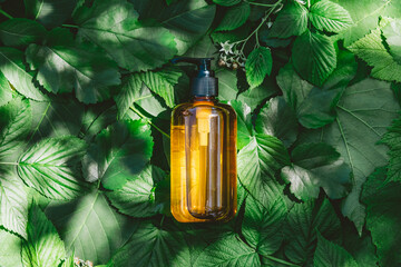 Amber glass cosmetic bottle on green leaves background in forest. Flat lay, top view, Nature cosmetics design. - obrazy, fototapety, plakaty