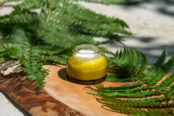 Jar of natural organic face cream on wooden stump with fern leaves.