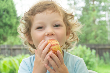 A cute little girl of five years old, curly blonde looks at the camera and eats an apple close-up.