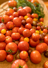 tomatoes of different shapes, colors and sizes, harvest time
