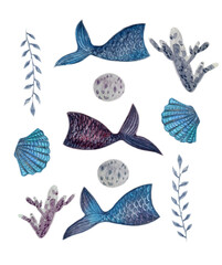 Mermaid tails, shells, seaweed set
