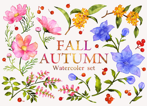 水彩風、秋の花ベクターイラストセット