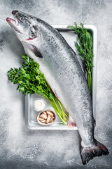 Raw uncooked sea salmon whole fish in a  tray with herbs. White background. Top view