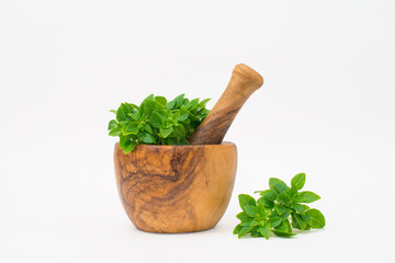 Fresh green basil leaves in wooden mortar and pestle on white background.