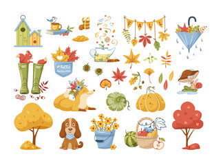 Collection of autumn icon. Set of traditional fall attributes. Dry garden trees, seasonal harvest