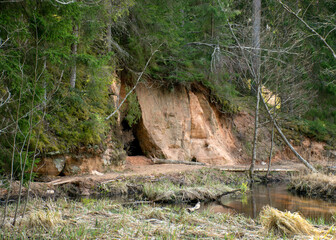 landscape with sandstone outcrops by a small wild river, sandstone texture, old grass, moss and other typical plants, Strikupe, Vaidava, Latvia