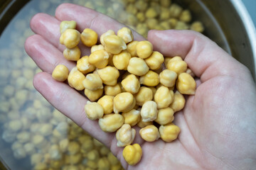 Chickpeas swollen in water. A handful of chickpeas in a woman's hand. High quality photo