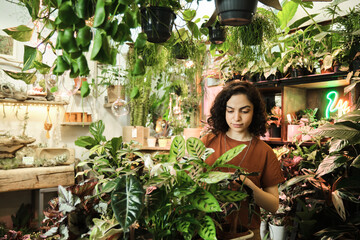 Young saleswoman caring about green plants and flowers while working in flower shop