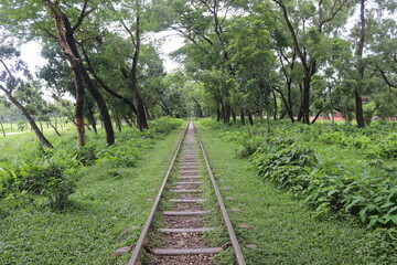 Obraz premium Abandoned railway in autumn mountain forest with foliar trees in bangladesh
