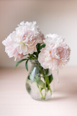 Bouquet of flowers peony in glass a vase. Copy space