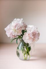 Bouquet of flowers peony in glass a vase. Copy space