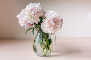 Bouquet of flowers peony in glass a vase. Copy space