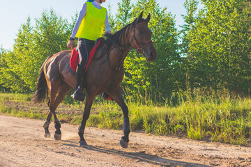 Competitor rival girl riding horse in summer field meadow.Young rider gallops through the summer...