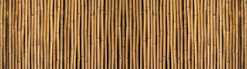 Bamboo tubes fence texture background banner panorama