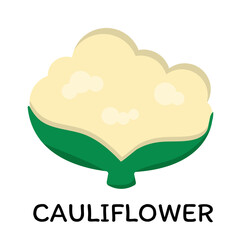 Cauliflower, vector illustration in cartoon flat stye. Food and vegetable concept. Print for recipes, restaurant, supermarket, market place. Vegetarian fresh food product