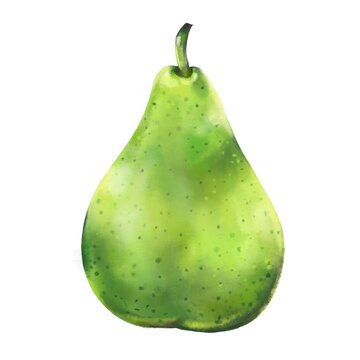 Ripe green pear on a white background. Hand drawn illustration 