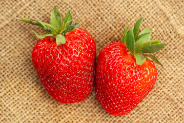 Two bright juicy strawberries on a sacking.