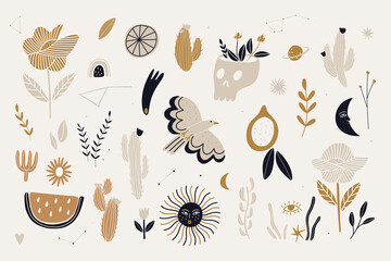 boho cosmos elements in modern style. for printing logos on fabric, paper and other designs.