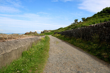 Narrow Coastal Pathway in a Rural Location