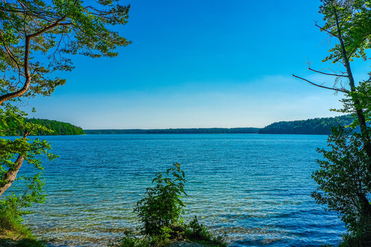 Nordufer Stechlinsee, Brandenburg