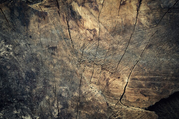 Old wooden background. Timber texture. 
