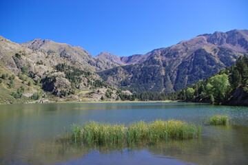 Naklejka na ściany i meble Lac de montagne des Pyrénées en France