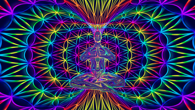 flower of live torus meditation