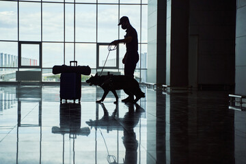 Security officer with detection dog checking luggage at airport