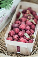A solo container full of fresh dry raspberries and inflorescence with linden leave.