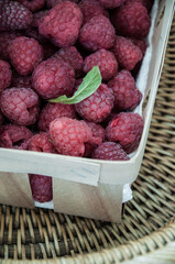 A solo container full of fresh dry raspberries and linden leaves.