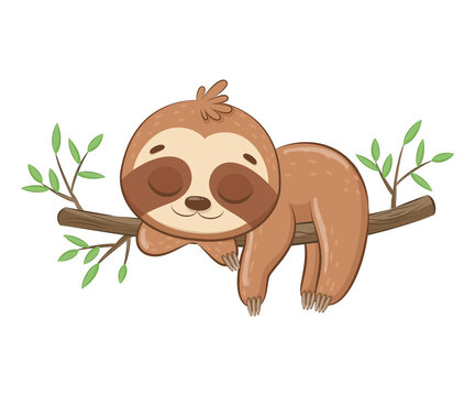 Cute sloth sleeps sweetly.Cartoon vector illustration.