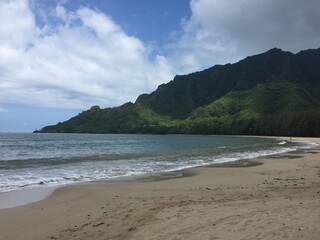 Hawaii Coast