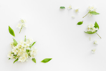 Frame of white jasmine flowers. Top view flat lay - obrazy, fototapety, plakaty