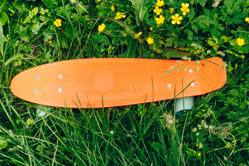 penny board on the grass with flowers. small plastic skateboard. pink penny Board with blue wheels lying on the green lawn