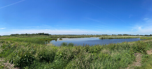 Panorama from a lake and nature scenery at the Weerribben-Wieden National Park