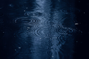 rain puddle circles, aqua abstract background, texture autumn water