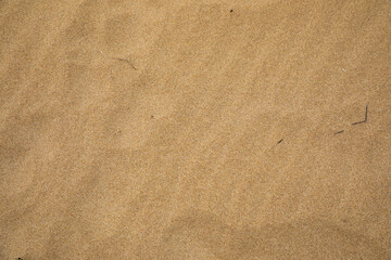 Fototapeta na wymiar Beach sand with patterns on it 