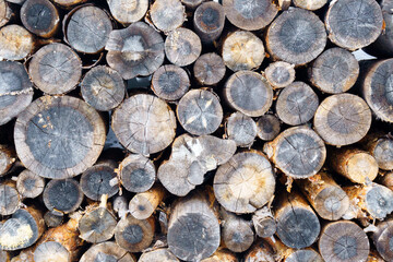 Wooden log wooden background. Fuel. Harvesting firewood for the winter.