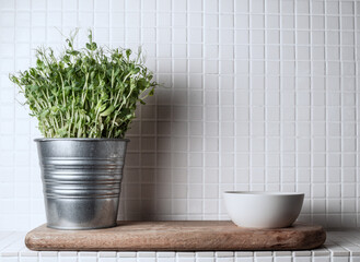 Peas sprouts in metal flower pot and white bowl on wooden board. Copy space.