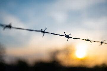 View on barbed wire