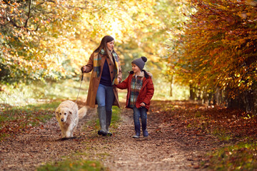 Naklejka na ściany i meble Mother And Son Take Pet Golden Retriever Dog For Walk On Track In Autumn Countryside Holding Hands