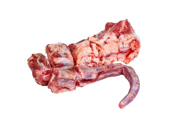 Whole fresh raw beef tail chopped into pieces isolated on white background - obrazy, fototapety, plakaty